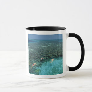 Belize, Barrier-Riff, Lighthouse Reef, Blau Tasse