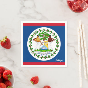 Belize & Belize Flag Partys fashion /sport fans Serviette