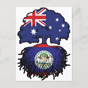 Belize Belizean Australian Australia Tree Roots Postkarte
