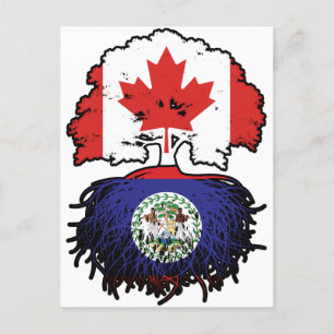 Belize Belizean Canadian Canada Treots Roots Flag Postkarte