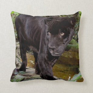 Belize City Zoo. Schwarzer Panther Kissen