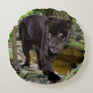 Belize City Zoo. Schwarzer Panther Rundes Kissen