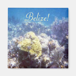 Belize! Coral Reef Magnet