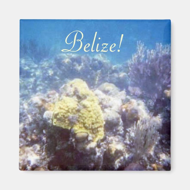 Belize! Coral Reef Magnet (Vorne)