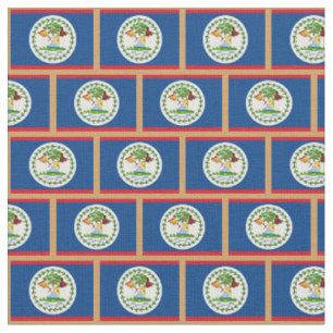 Belize Flag & Belize Fashion Fabric /sports Stoff