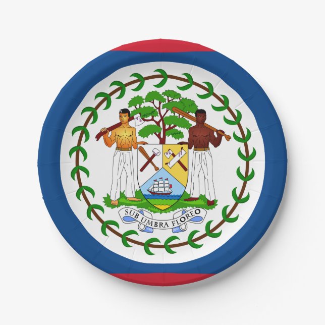 Belize-Flagge Pappteller (Vorderseite)