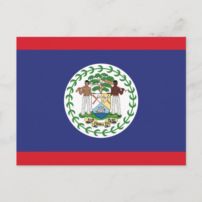 Belize-Flagge Postkarte (Vorderseite)