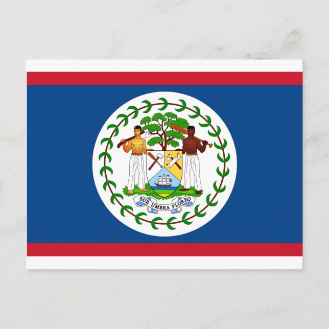 Belize-Flagge Postkarte (Vorderseite)