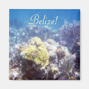 Belize! Korallenriff-Magnet Magnet