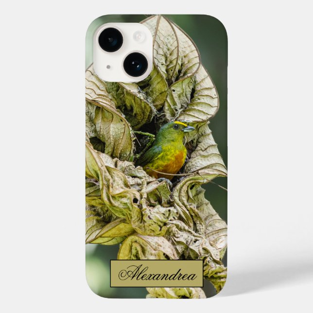 Belize Olive Euphonia Bird Fotografy Case-Mate iPhone 14 Hülle (Rückseite)