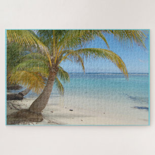 Belize Palm Tree Beach Karibisches Meer Seascape