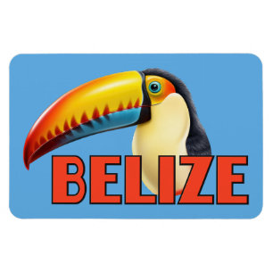 BELIZE Toucan Magnet
