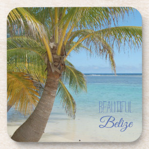 Belize-Tropische-Palmen-Strandszene-Fotografie Getränkeuntersetzer