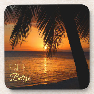 Belize-Tropischer-Palmbaum-Sonnenuntergang-Fotogra Getränkeuntersetzer