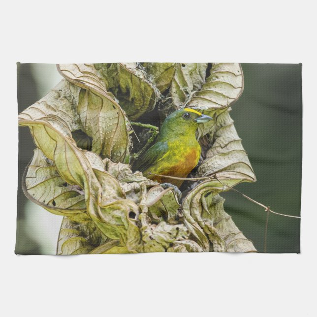 Belize Wildlife: Olive Euphonia Bird Fotografy Geschirrtuch (Horizontal)