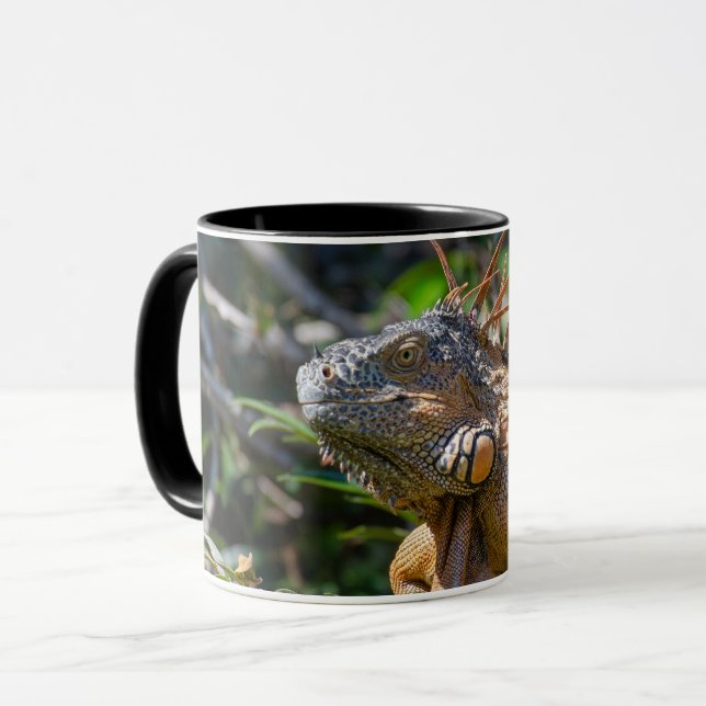 Belizean Orange Iguana - Fotografie Tasse (Vorderseite Links)