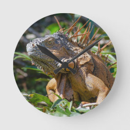 Belizische farbenfrohe Schönheit: Orange Iguana Fo Runde Wanduhr