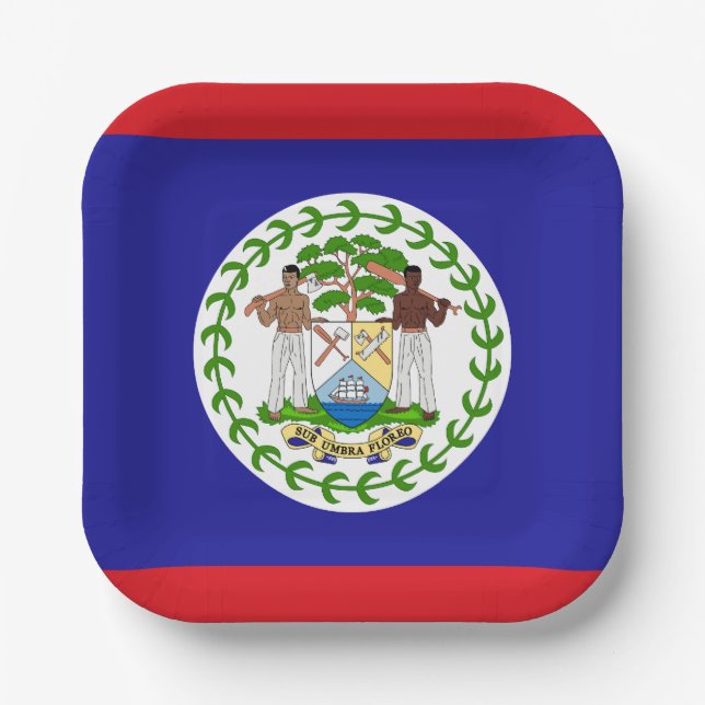 Belizische Flagge Pappteller (Vorderseite)