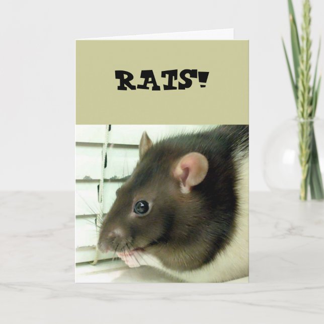 Bell the Rat bekommt bald eine gute Karte (Vorderseite)
