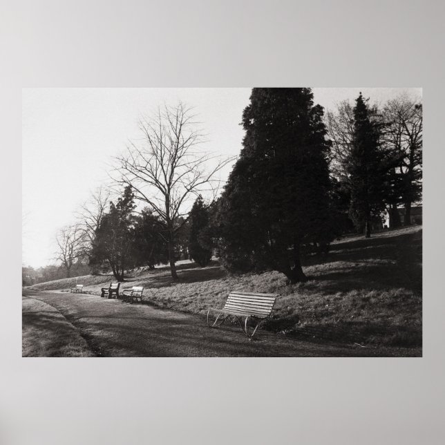 Bell Vue Park, Newport, Mon (Dezember 1977) Poster (Vorne)