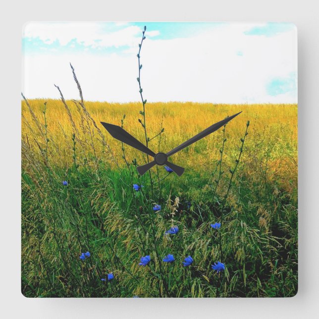 Bella Blue - Chicory Quadratische Wanduhr (Vorderseite)