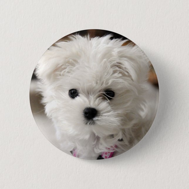 Bella Button (Vorderseite)