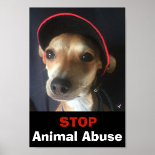 BELLA ENDtiermissbrauchs-PLAKAT Poster