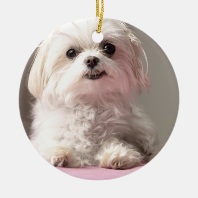 Bella ließ uns gehen sehen maltesische Verzierung Keramik Ornament (Vorne)