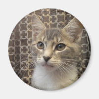 Bella Magnet