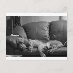 Bella Postkarte