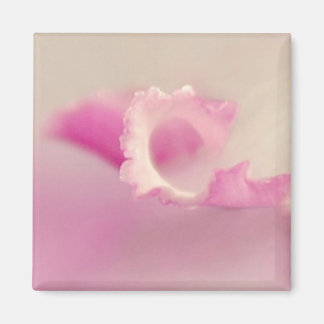 Bella Rosa Magnet