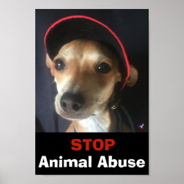 BELLA STOP ANIMAL ABUSE POSTER
