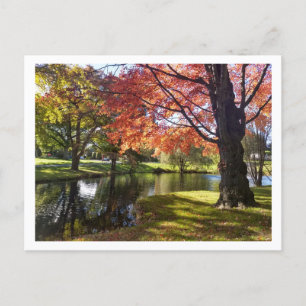 Bellarmine Pond, Fairfield University Carte postal