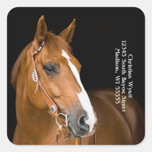 Belle adresse de retour cheval autocollant carré