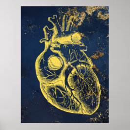 Belle affiche d'anatomie du coeur