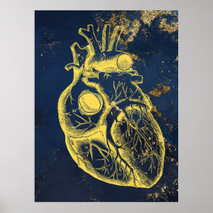 Belle affiche d'anatomie du coeur