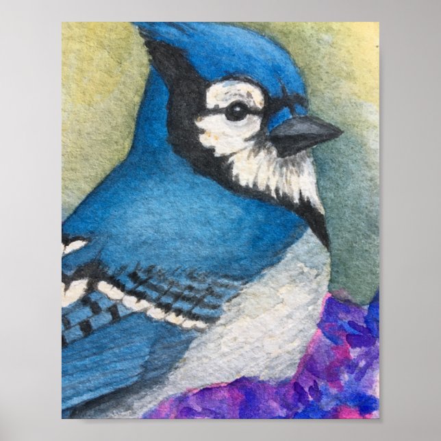 Belle affiche d'aquarelle d'oiseaux Blue Jay (Devant)