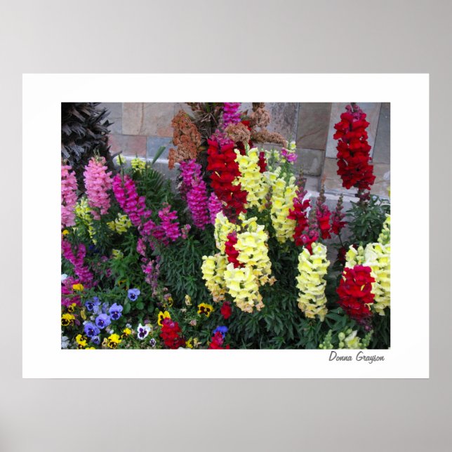 Belle affiche de jardin Imprimer (Devant)