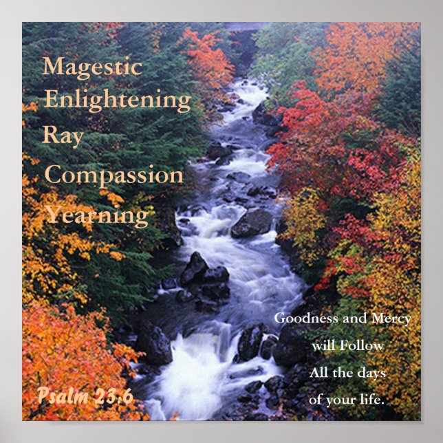 Belle affiche de la nature. (Devant)