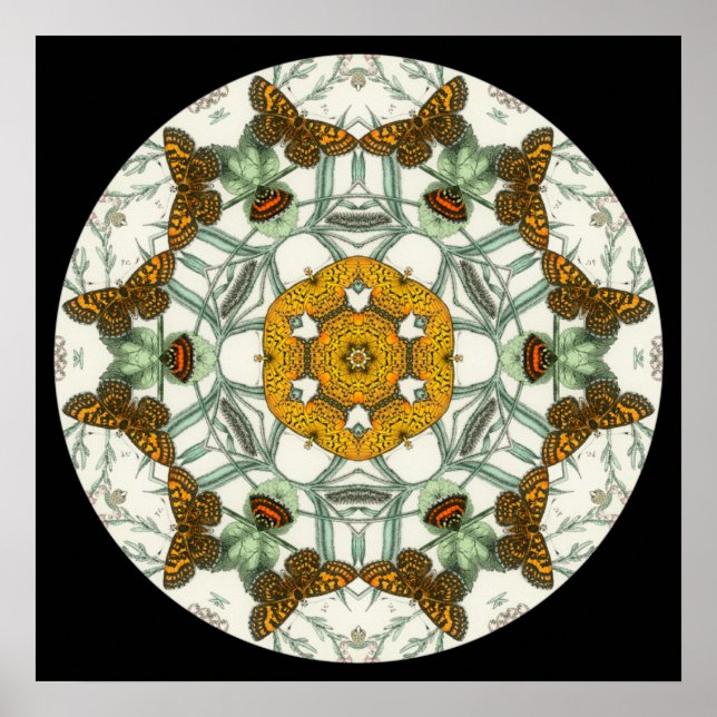 Belle affiche de mandala des ailes papillon (Devant)