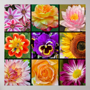 Belle affiche d'impression de collage de fleurs