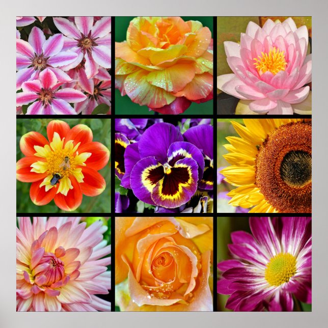 Belle affiche d'impression de collage de fleurs (Devant)