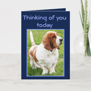 Belle Basset Hound sur la jolie carte "Fête des pè