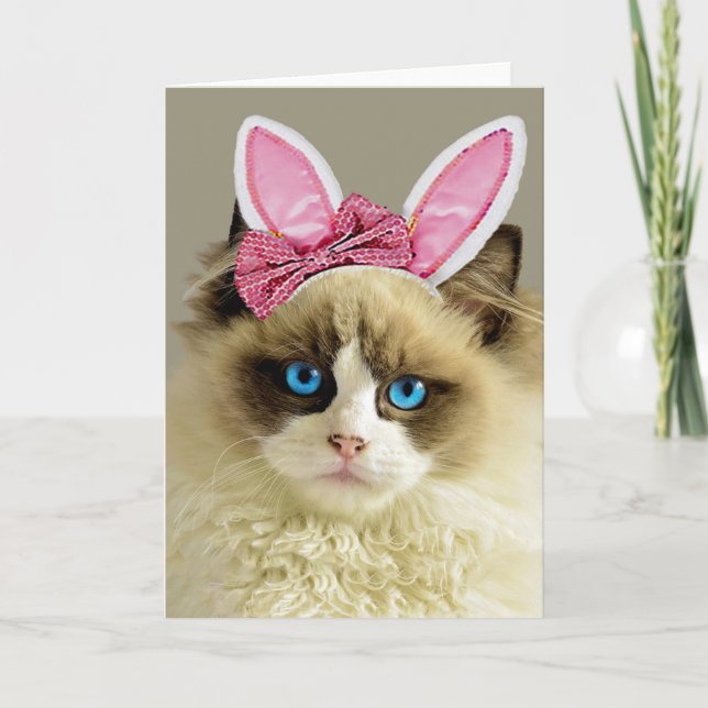 Belle Bleu Eyed Chat Bunny Oreilles Pâques Carte (Devant)