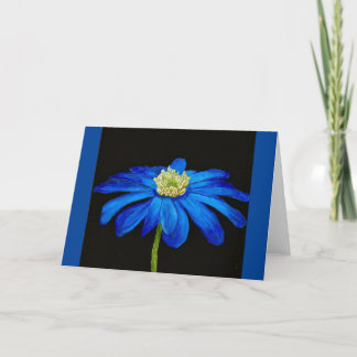 Belle Bleue Beauté Daisy toute la carte d'occasion