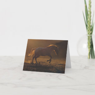 Belle carte Appaloosa Horse Blank Note