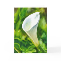 Belle carte blanche Calla Lily Garden Art