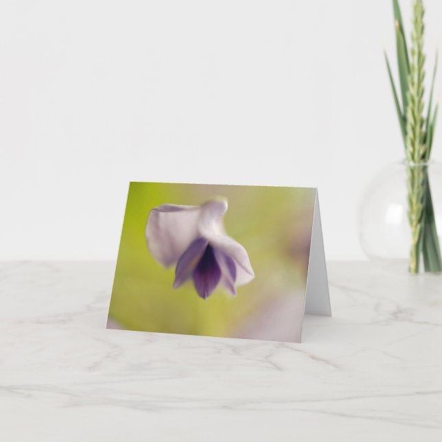 Belle carte blanche flottante (Devant)