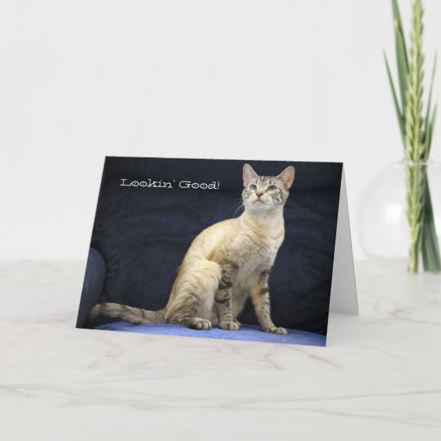 Belle carte d'anniversaire de chat pour personne s (Devant)