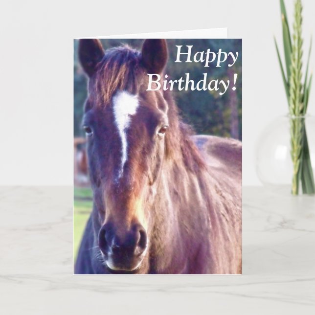 Belle carte d'anniversaire de cheval (Devant)